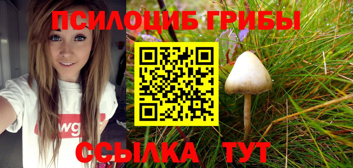 Псилоцибиновые грибы Cubensis  Вход с VPN  Нарьян-Мар 