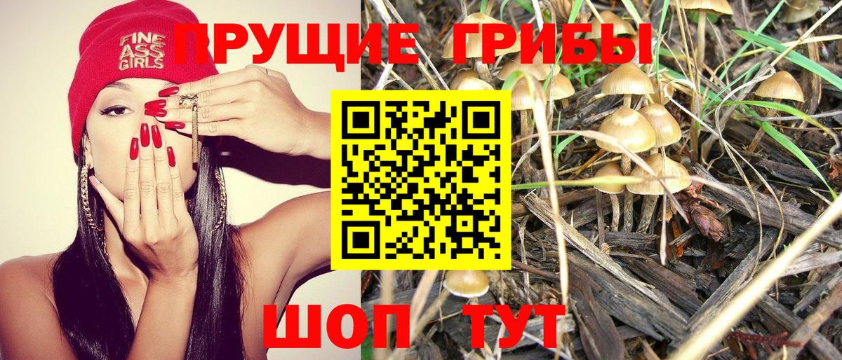 Псилоцибиновые грибы MAGIC MUSHROOMS Нарьян-Мар